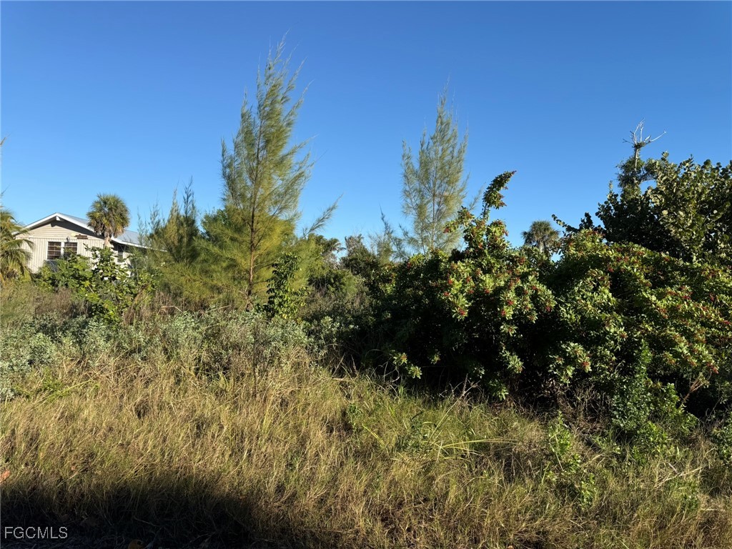 151 Swallow Dr Property Photo 14