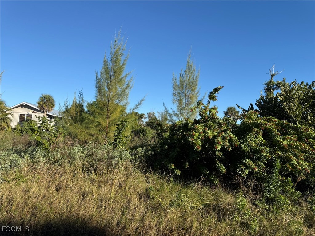 151 Swallow Dr Property Photo 15