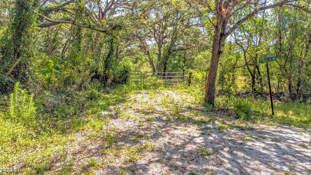 1 Catamount Rd Property Photo 11