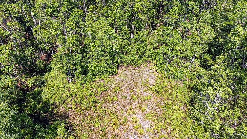 1 Catamount Rd Property Photo 12