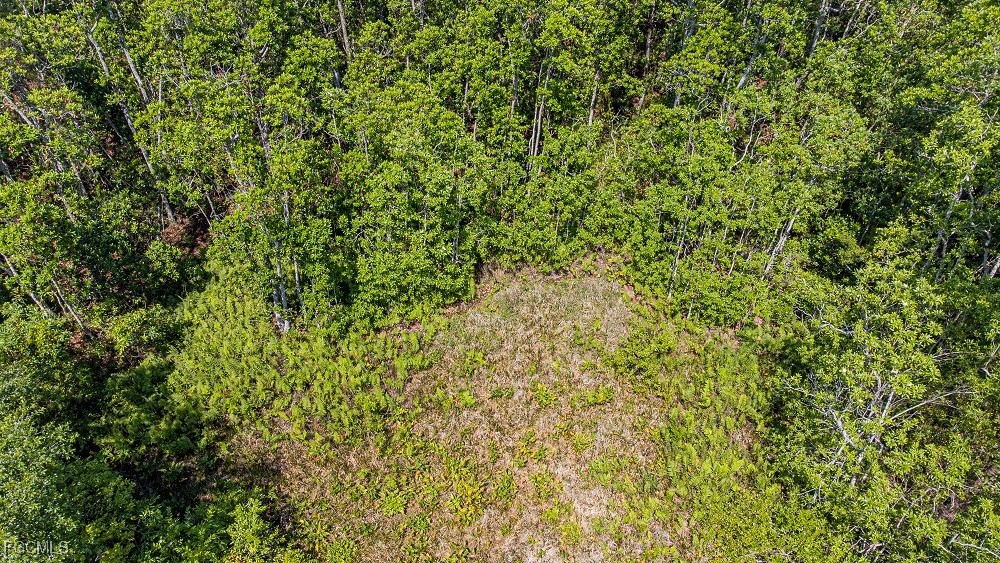 1 Catamount Rd Property Photo 13
