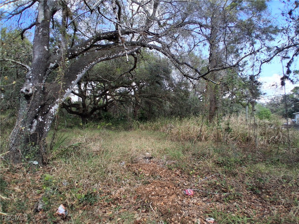 Suwanee Ave Property Photo 11
