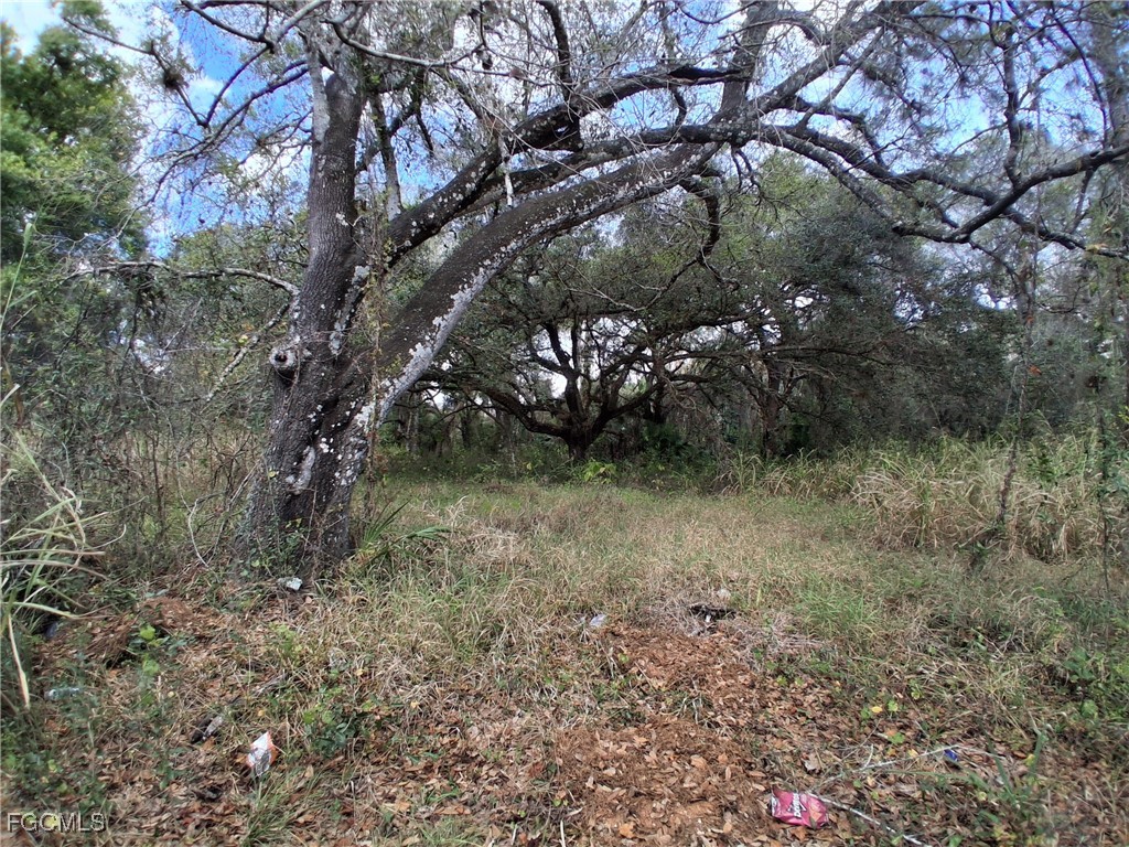 Suwanee Ave Property Photo 12