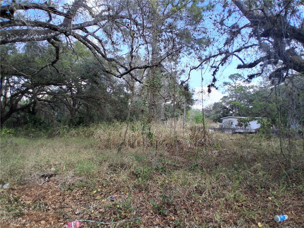 Suwanee Ave Property Photo 13