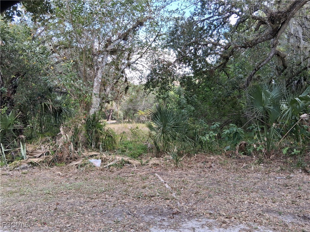 Suwanee Ave Property Photo 14