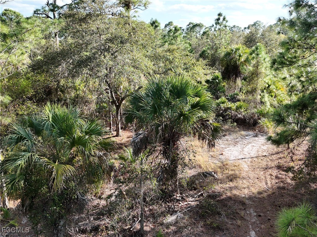 5010 Squaw Ln Property Photo 12