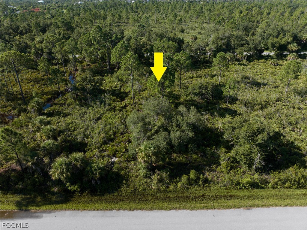13211 Chiminiello Dr Property Photo 3