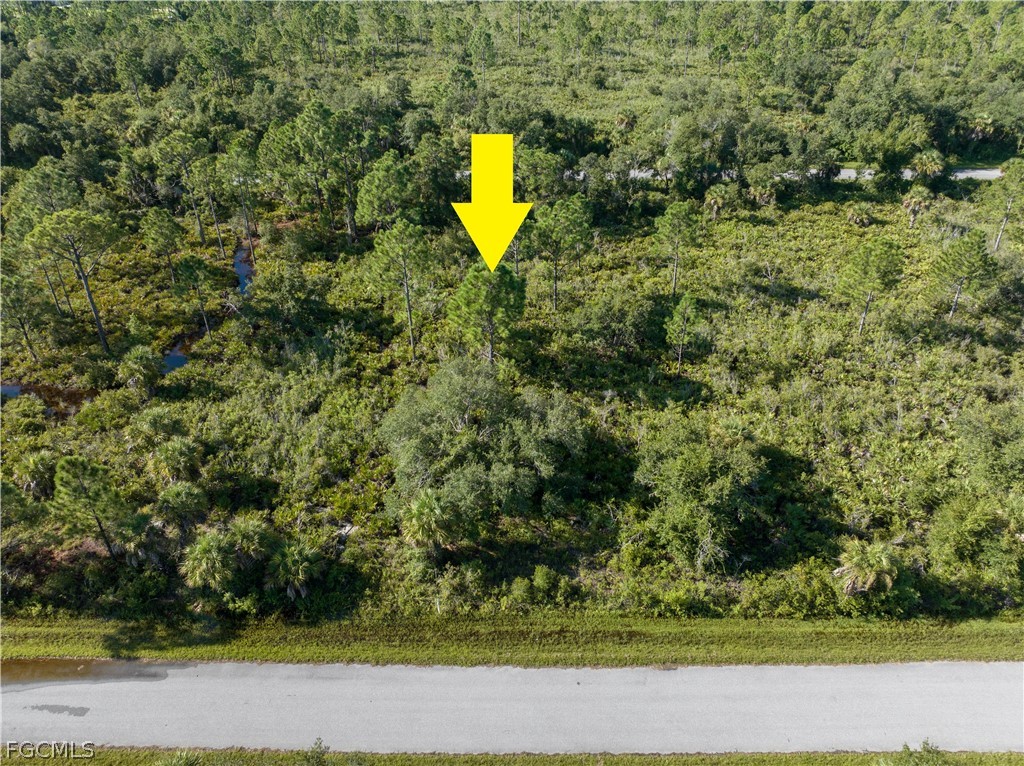 13211 Chiminiello Dr Property Photo 7