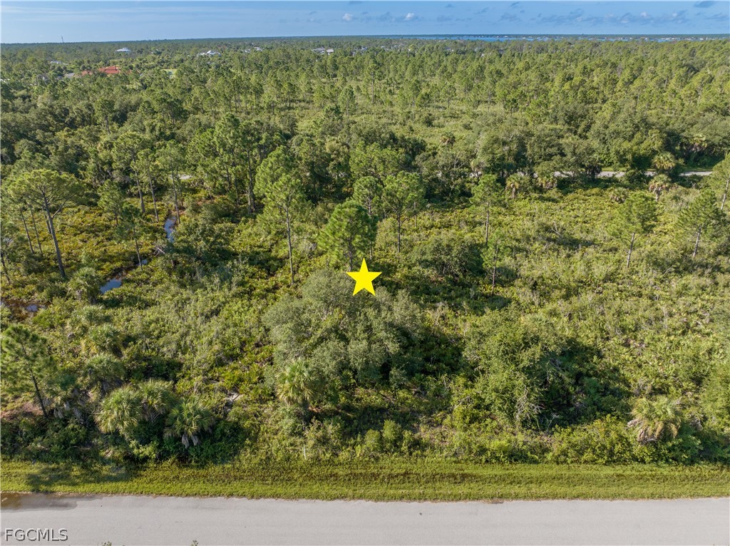 13211 Chiminiello Dr Property Photo 8