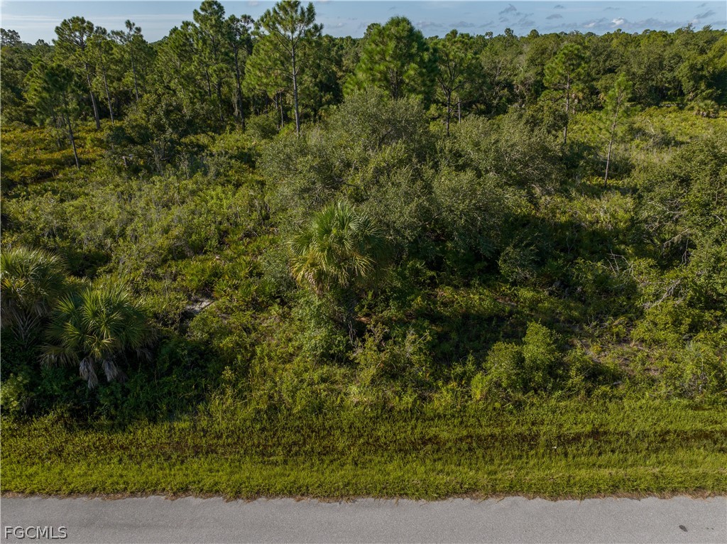 13211 Chiminiello Dr Property Photo 14