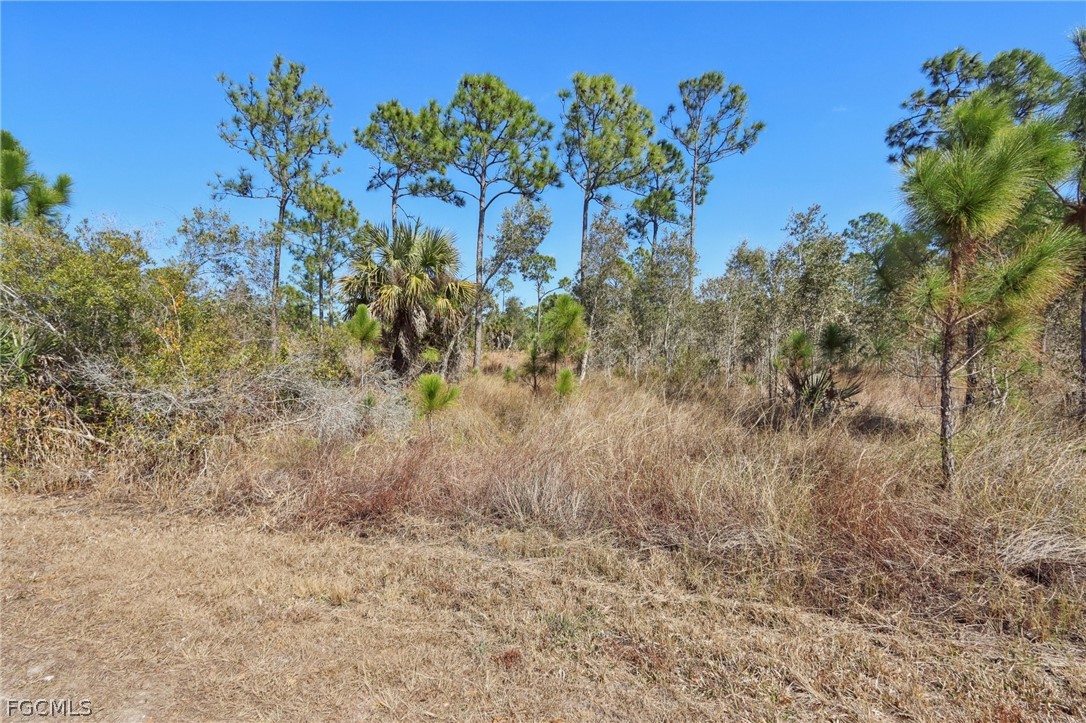 13588 Carousel Dr Property Photo 5