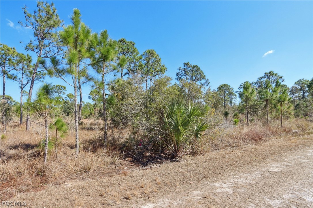 13588 Carousel Dr Property Photo 6