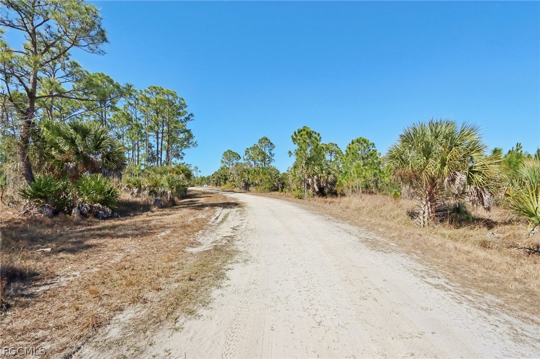 13588 Carousel Dr Property Photo 8