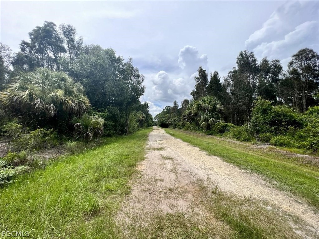 12593 Gucci Dr Property Photo 3