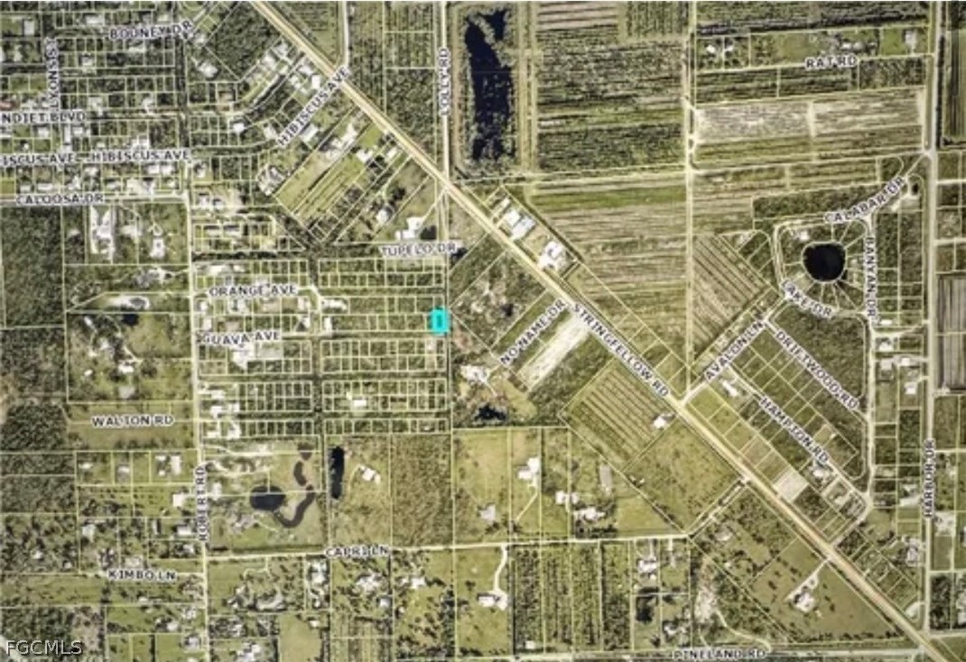 7000 Guava Ave Property Photo 3