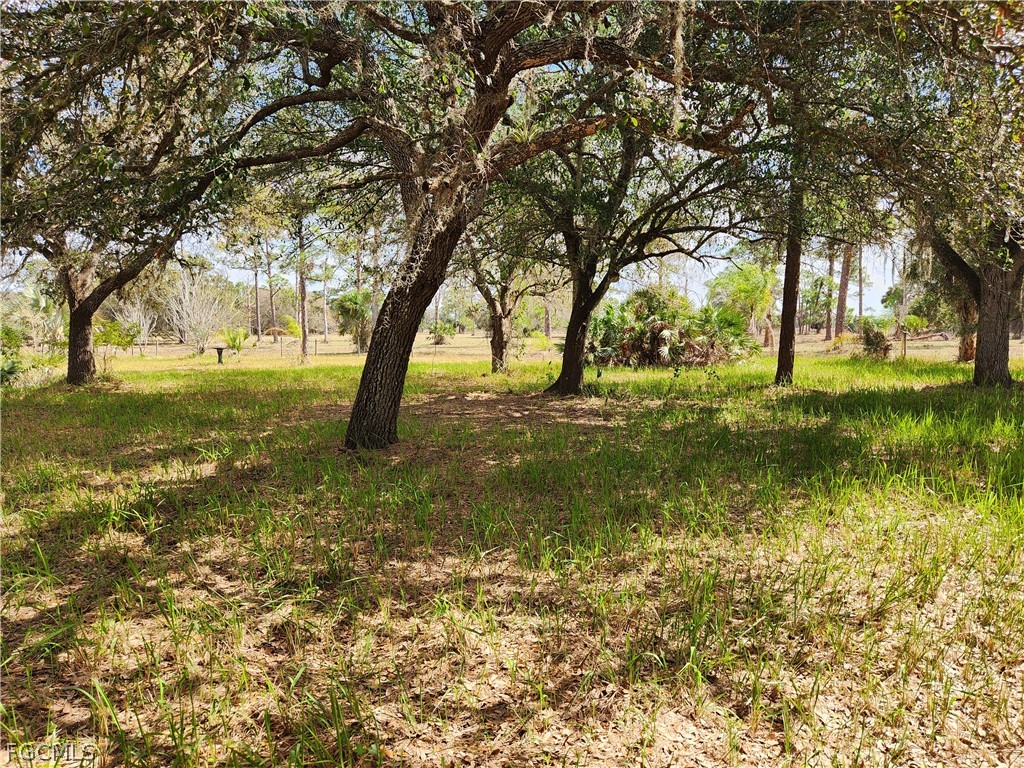 1975 Phillips Rd Property Photo 2