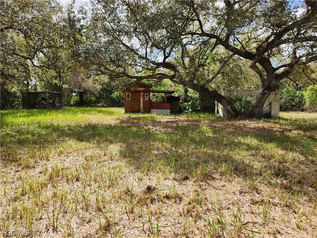 1975 Phillips Rd Property Photo 4
