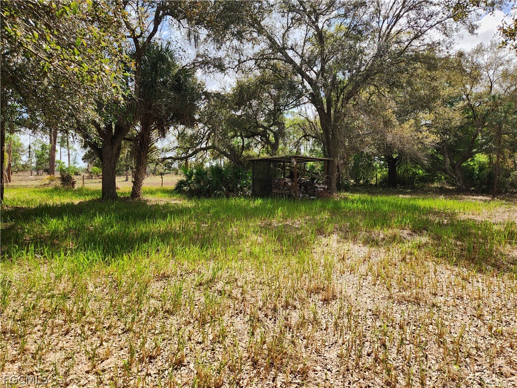 1975 Phillips Rd Property Photo 5