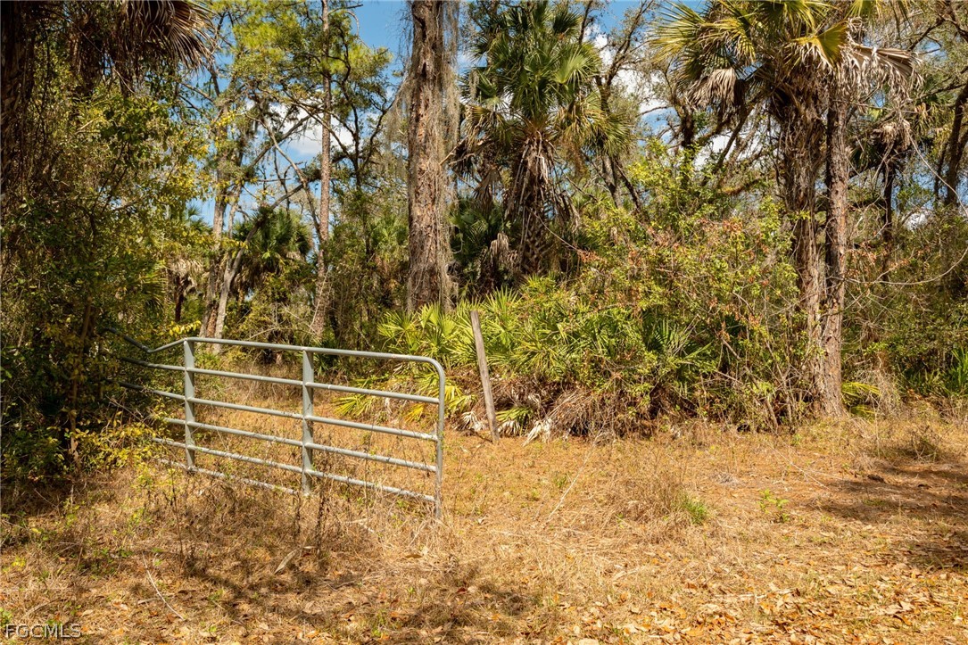 3751 Bateman Rd Property Photo 3