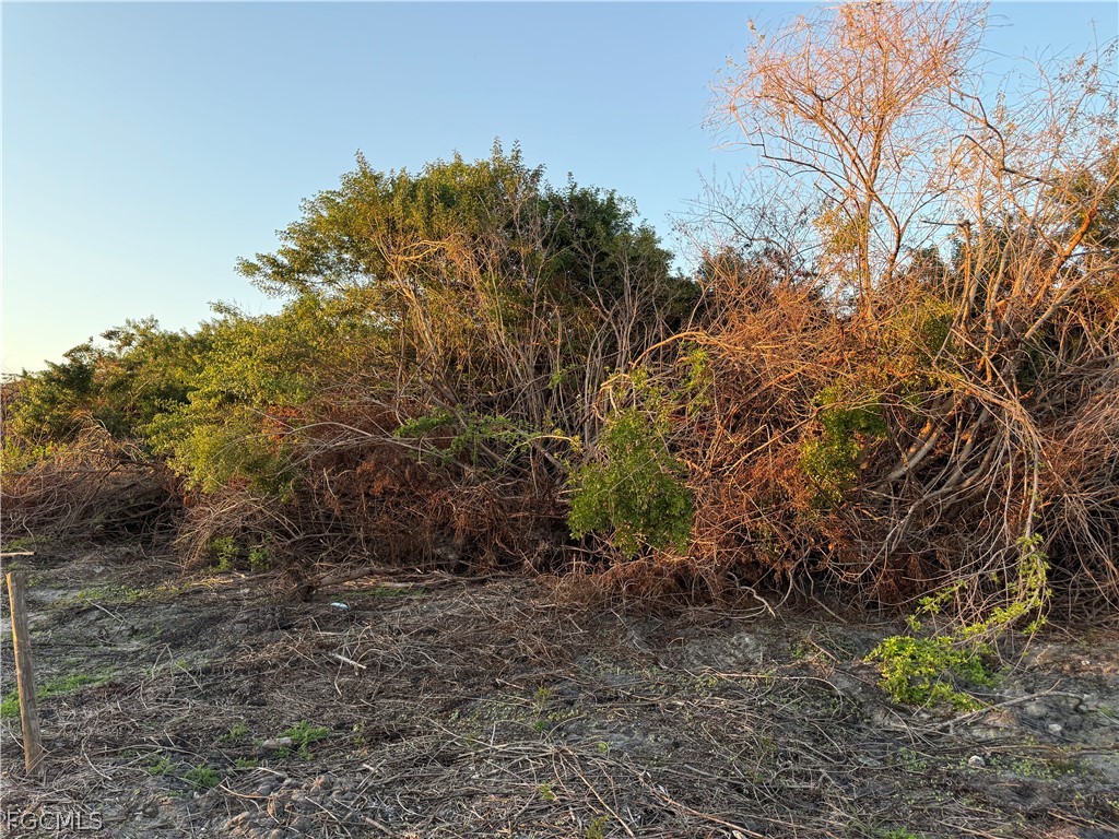 5801 4th Rd Property Photo 4