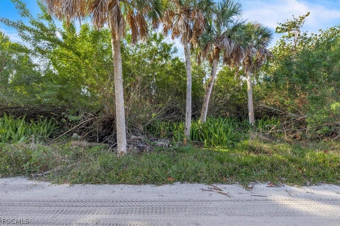 4521 Oro Pesos Ln Property Photo 12