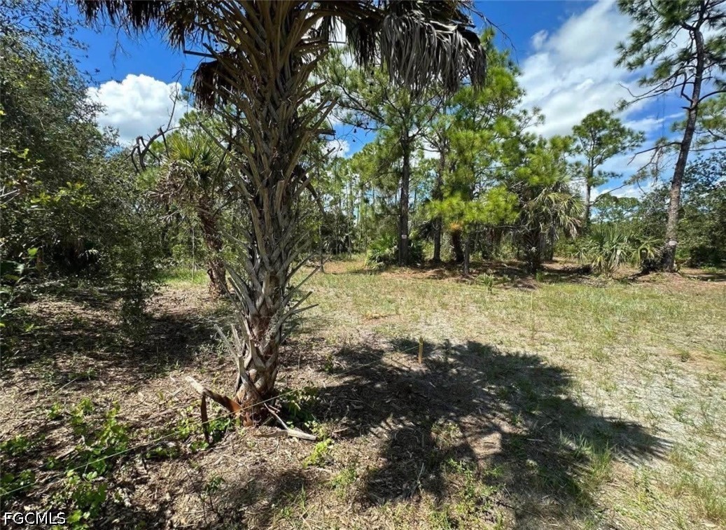 28100 Laurelwood Dr Property Photo 4
