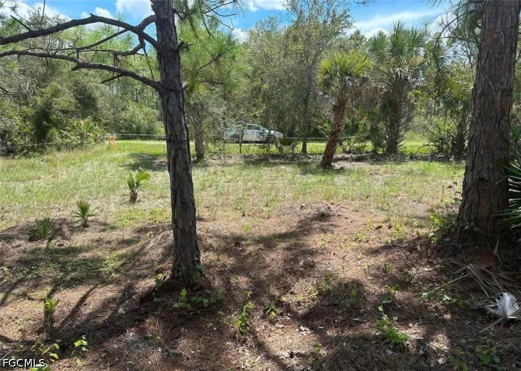28100 Laurelwood Dr Property Photo 6