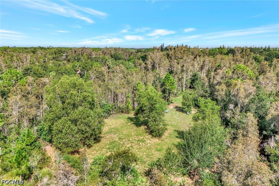 41601 Little Farm Rd Property Photo 3