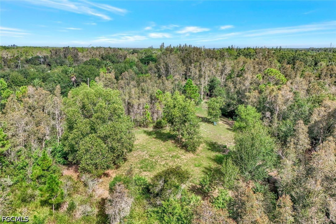 41601 Little Farm Rd Property Photo 5