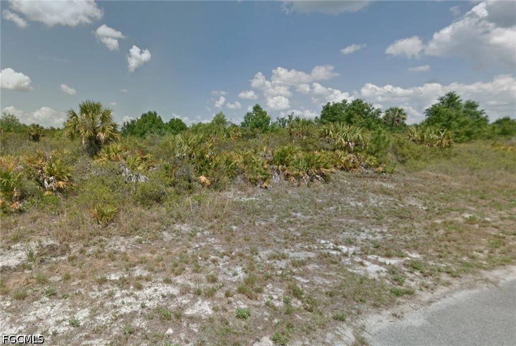 Mangrove Ave Property Photo 2
