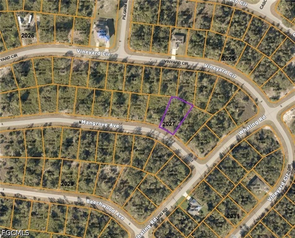 Mangrove Ave Property Photo 3