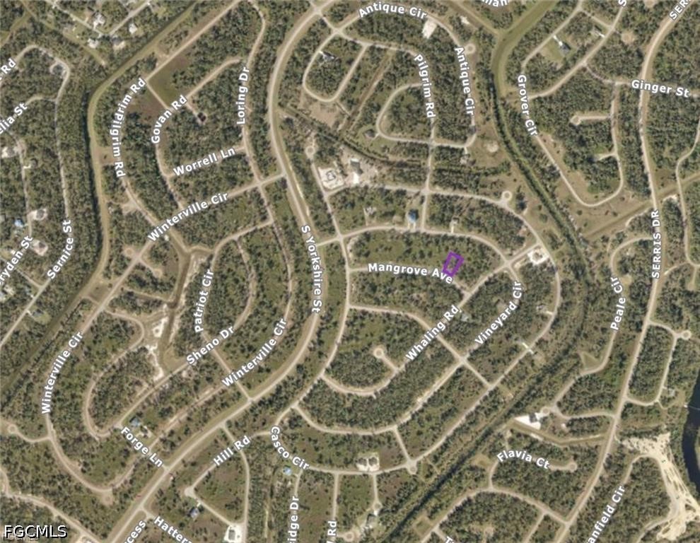 Mangrove Ave Property Photo 4
