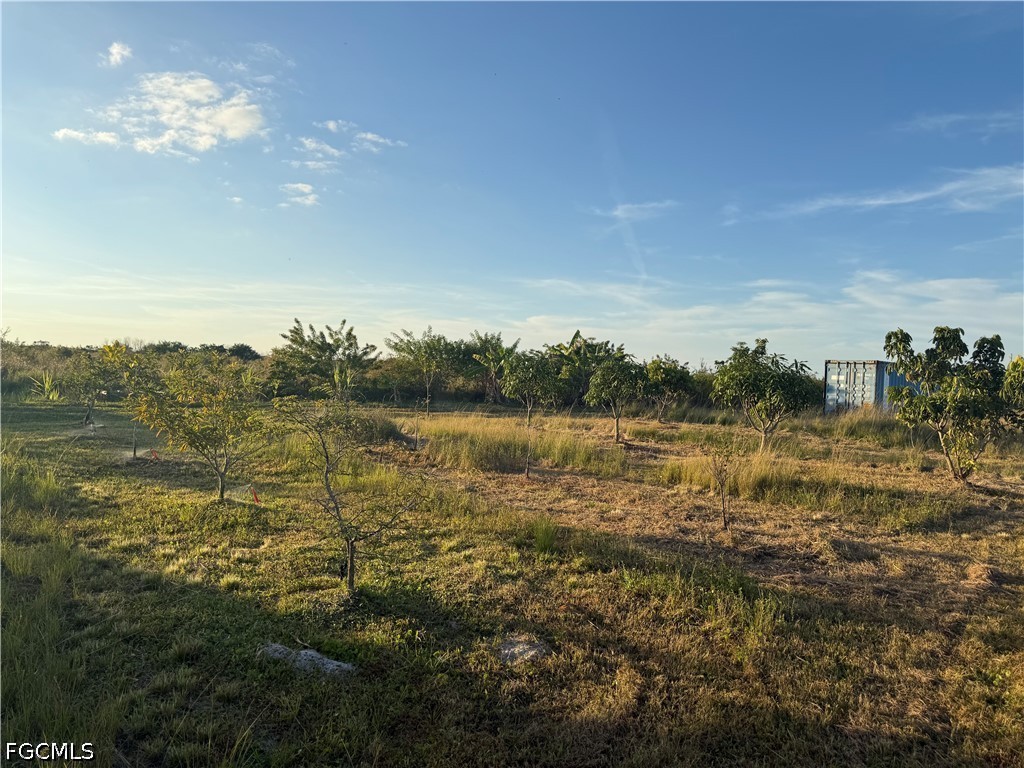 6724 5th Rd Property Photo 10