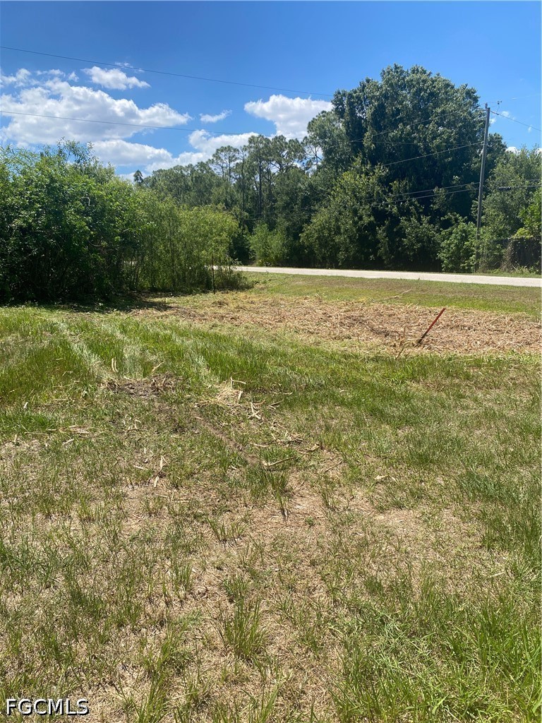 41601 Horseshoe Rd Property Photo 3