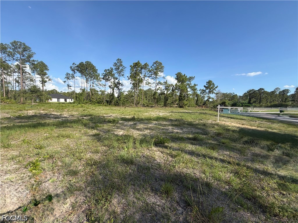 1202 Johns Ave Property Photo 6