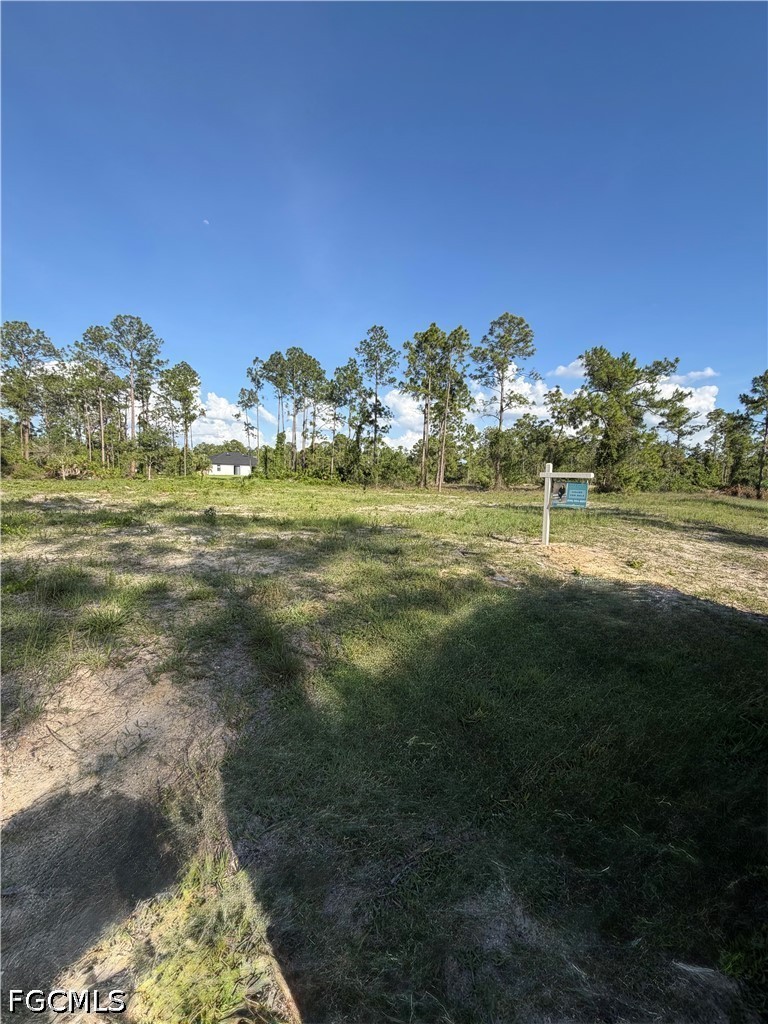 1202 Johns Ave Property Photo 7