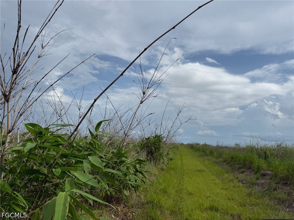 6658 + 6680 4th Rd Property Photo 3