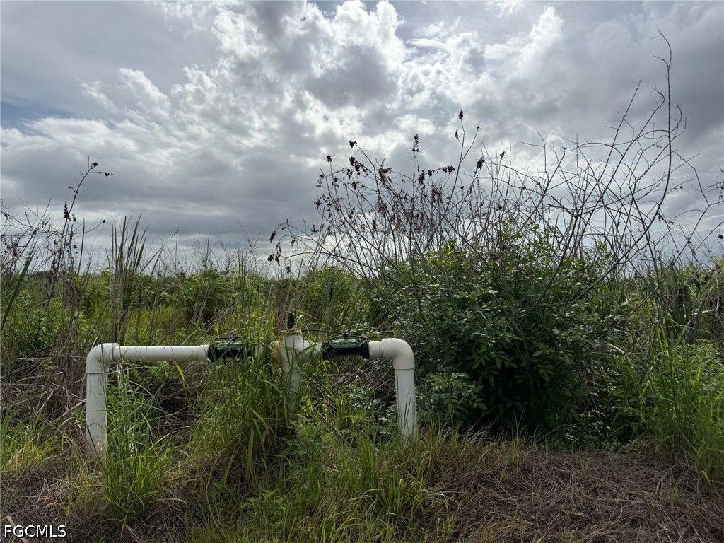 6658 + 6680 4th Rd Property Photo 11