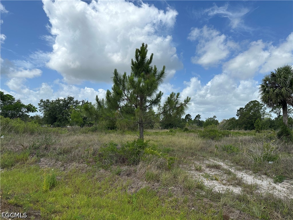 908 Panda Dr Property Photo 3