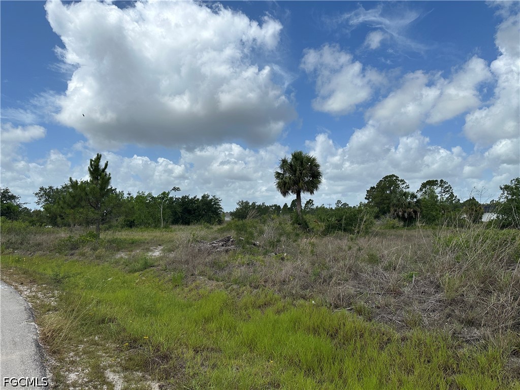 908 Panda Dr Property Photo 7