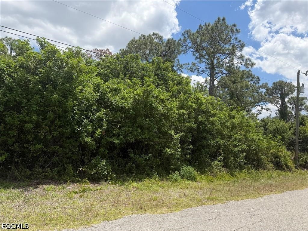 1142 Sunrise Blvd Property Photo 3