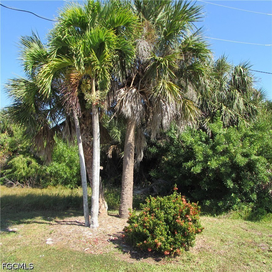 3960 Stringfellow Rd Property Photo 5