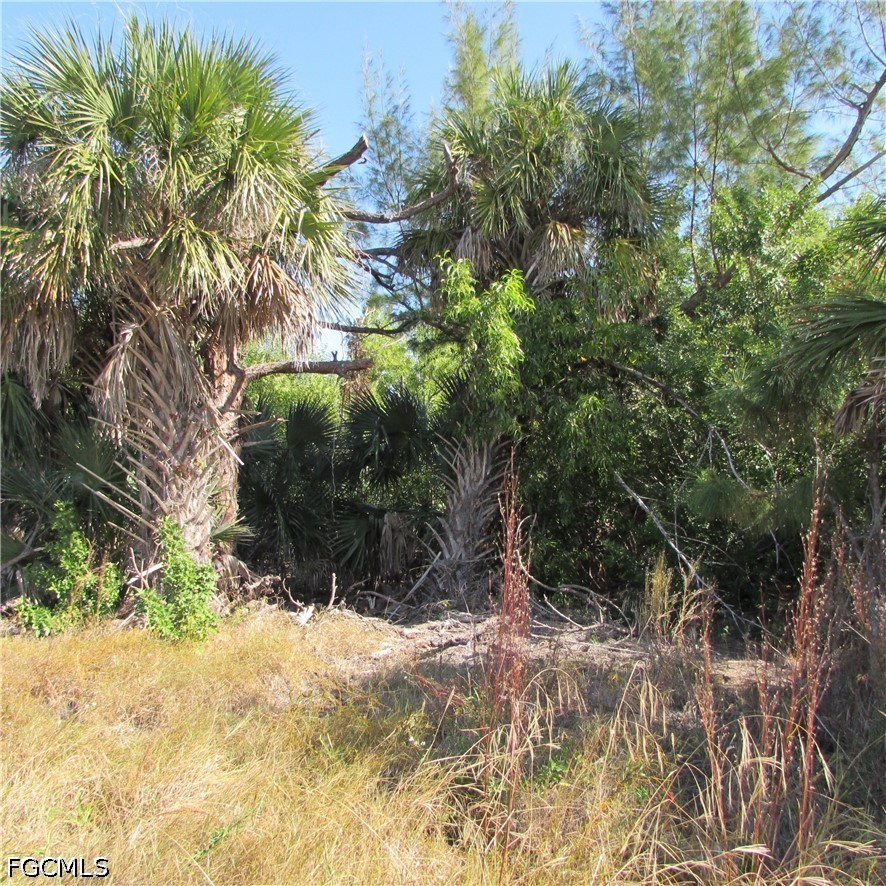 3960 Stringfellow Rd Property Photo 7