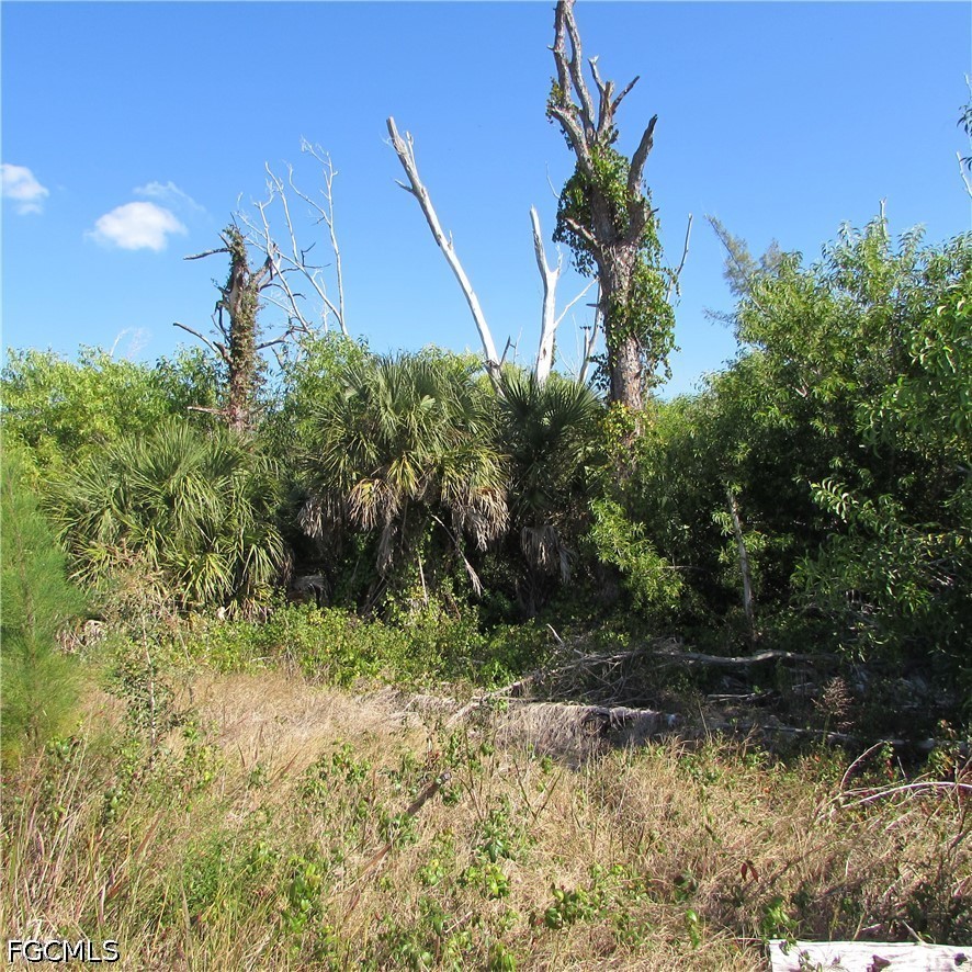 3960 Stringfellow Rd Property Photo 8