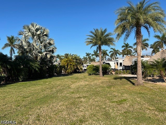 10232 Meadow Beauty Trl Property Photo 36