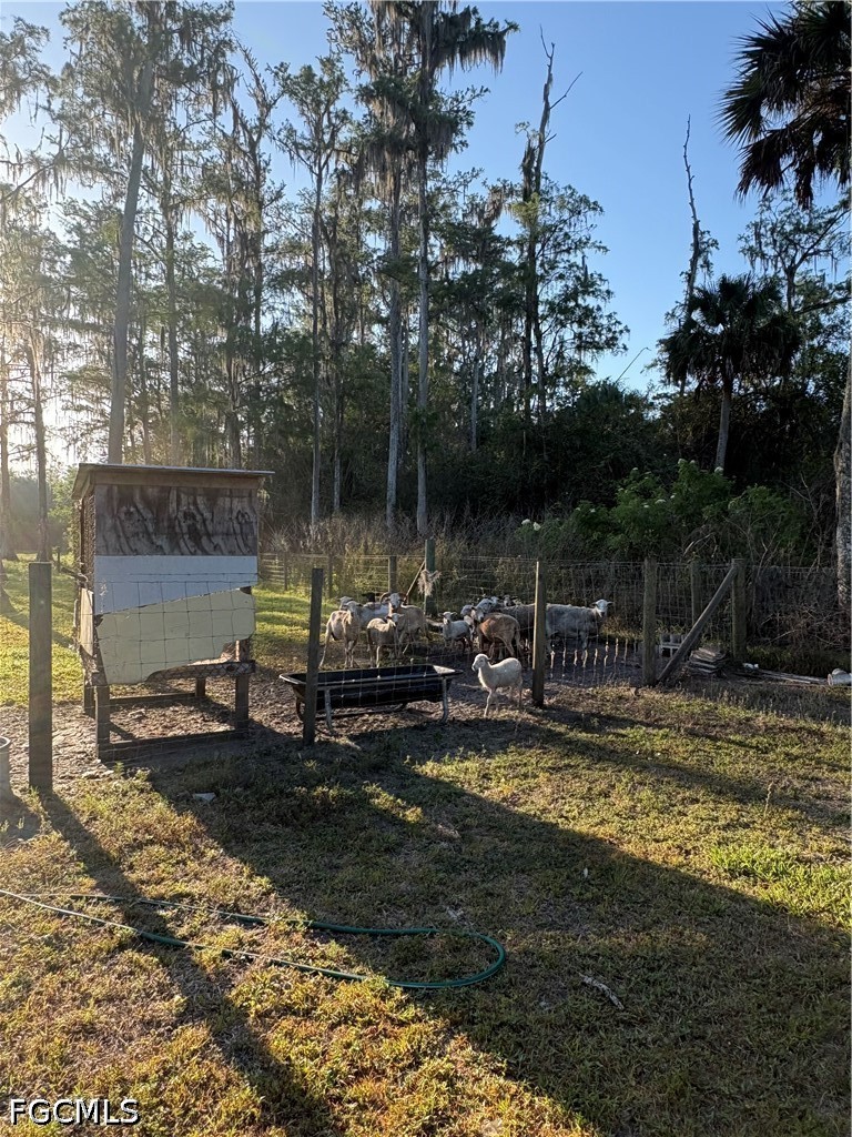 855 N Datil St Property Photo 18