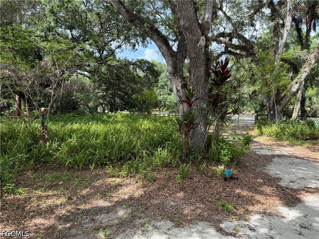 18251 Persimmon Ridge Rd Property Photo 8