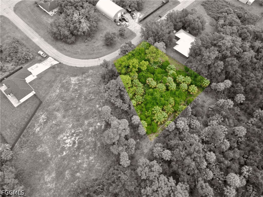 March Ln Property Photo 8