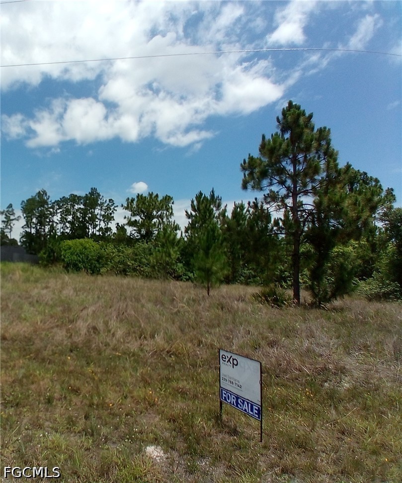 1021 Winters St E Property Photo 3