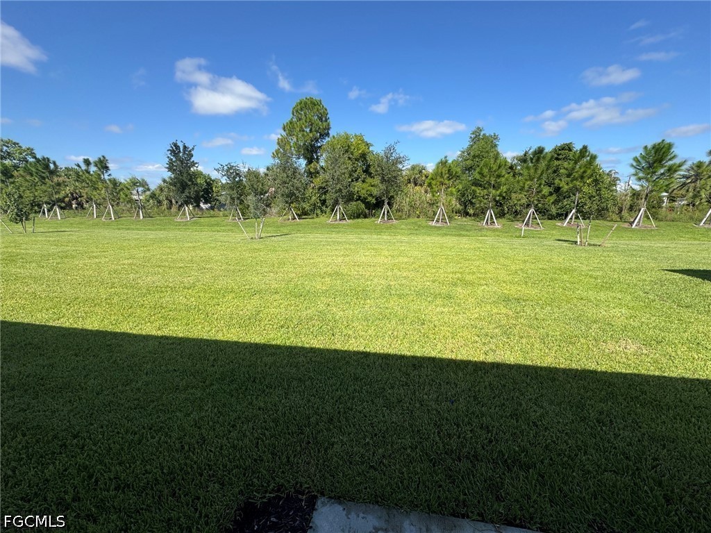 17313 Cantu Ct Property Photo 34